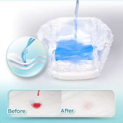 Disposable Lightweight Women’s Incontinence Underwear - ECE 