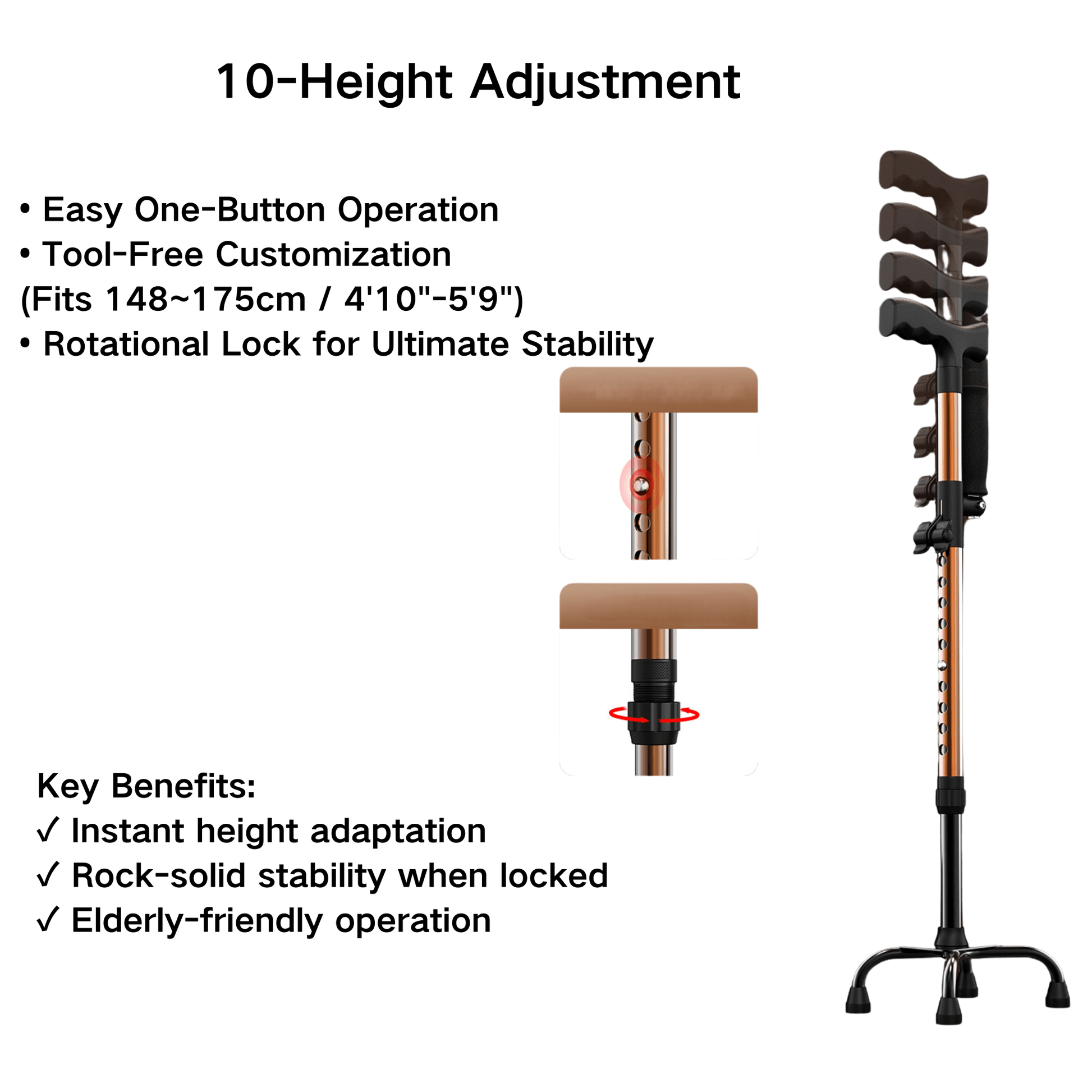 4-Point Base Mobility Walker - Lightweight Support Frame - ECE 